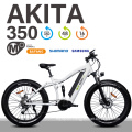 Hot Sell Middle Motor Drive Electric Bicycle 48V MTB Ebike